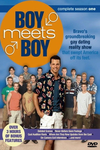 Boy Meets Boy (2003) poster