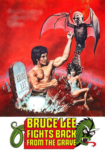 Bruce Lee Fights Back from the Grave (1976) poster