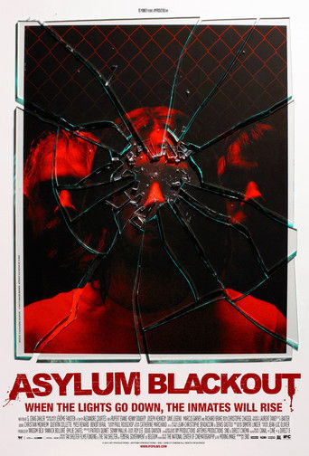 Asylum Blackout (2012) poster