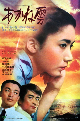 Clouds at Sunset (1967) poster