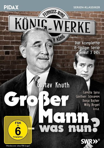 Großer Mann, was nun? (1967) poster