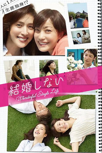 Wonderful Single Life (2012) poster