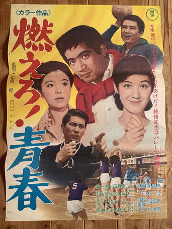 The Flame of Youth (1968) poster