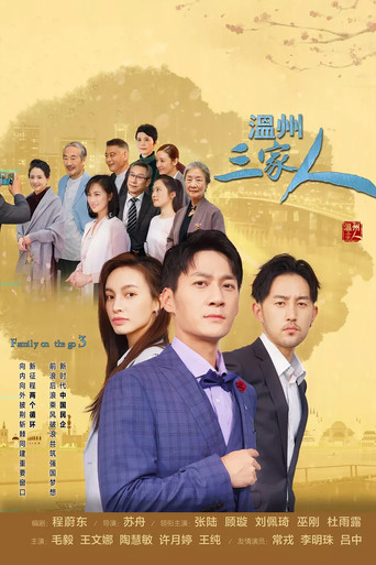 Family on the Go 3 (2021) poster