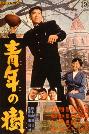 The Day of Youth (1960) poster