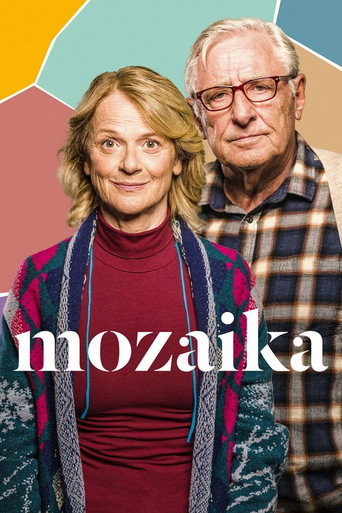 Mozaika (2024) poster