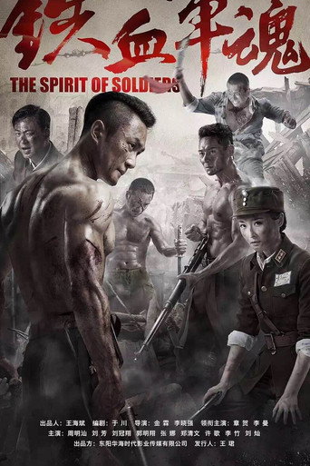 The Spirit of Soldiers (2016) poster