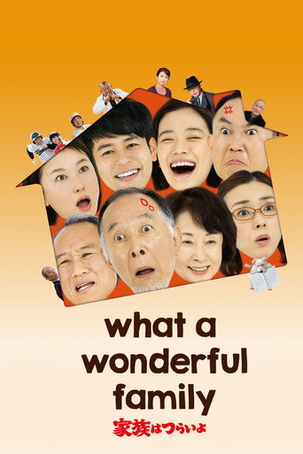 What a Wonderful Family! (2016) poster