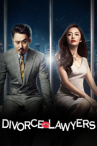 Divorce Lawyers (2014) poster