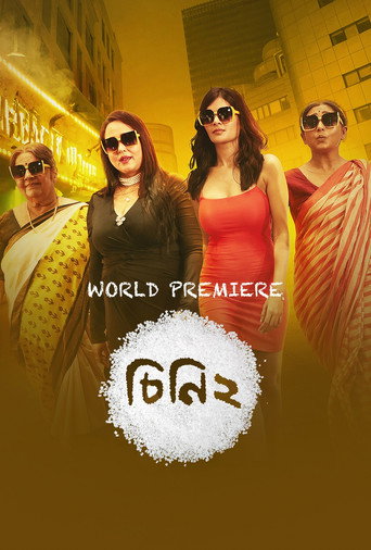 Cheeni 2 (2023) poster