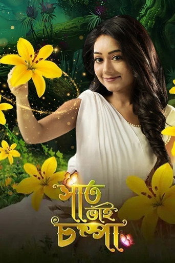 Saat Bhai Champa (2017) poster