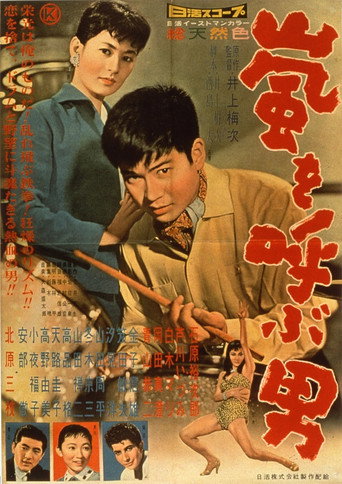 Man Who Causes a Storm (1957) poster