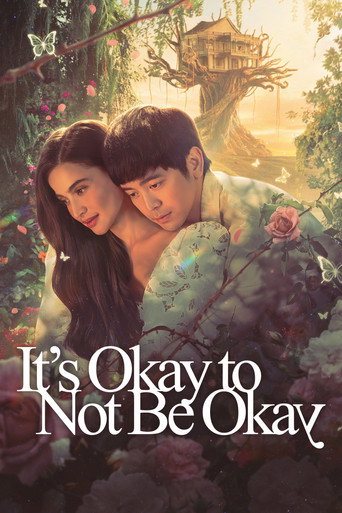 It's Okay to Not Be Okay (2025) poster