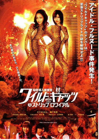 Secret Undercover Agent: Wild Cats In Strip Royale (2008) poster