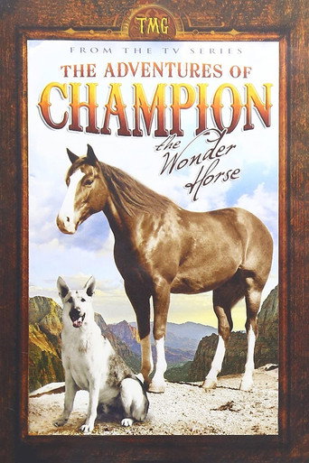 The Adventures of Champion (1955) poster