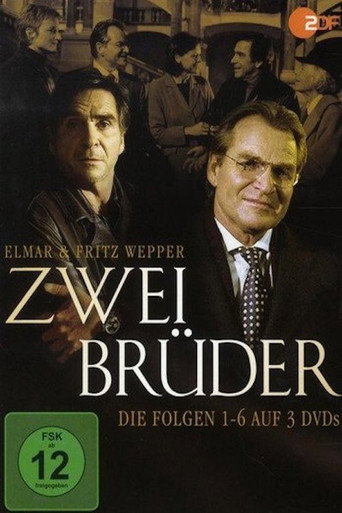 Zwei Brüder (1994) poster