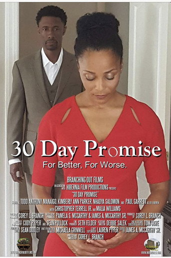30 Day Promise (2017) poster