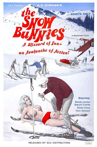 The Snow Bunnies (1972) poster