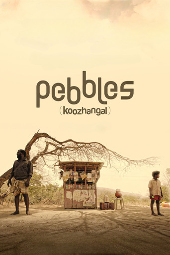 Pebbles (2021) poster