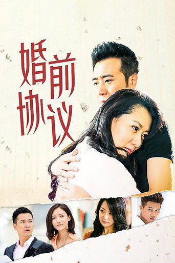 婚前协议 (2013) poster