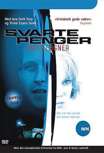 Dirty Money, White Lies (2004) poster