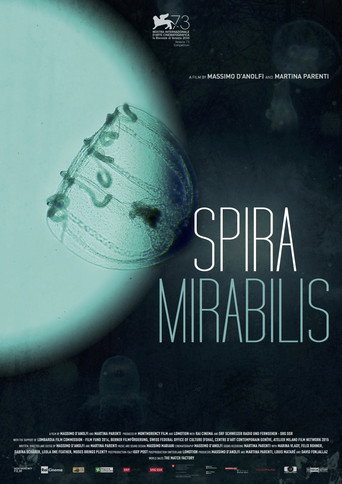 Miraculous Spiral (2016) poster