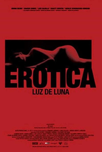 Erotica: Moonlight (2008) poster