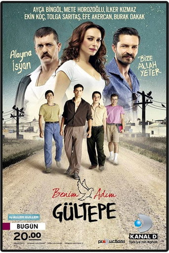 My Name's Gultepe (2014) poster