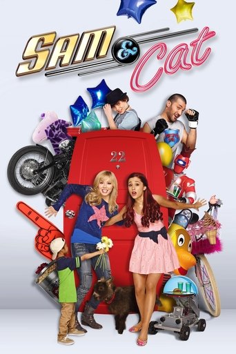 Sam & Cat (2013) poster