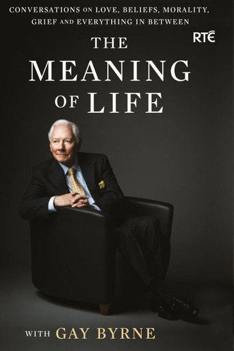 The Meaning of Life (2009) poster