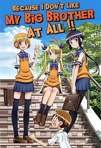 Because I Don't Like My Big Brother At-All--!! (2011) poster