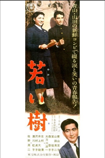 Young Tree (1956) poster