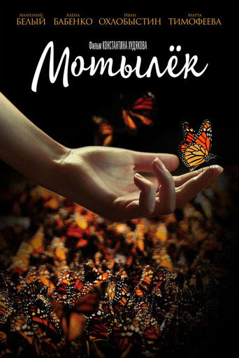 The Moth (2017) poster