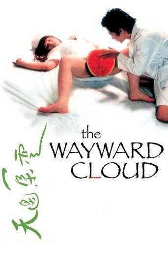 The Wayward Cloud (2005) poster