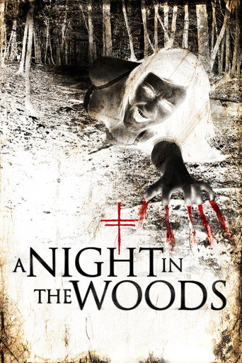 A Night in the Woods (2011) poster