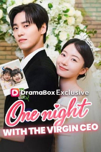 One Night With the Virgin CEO (2026) poster