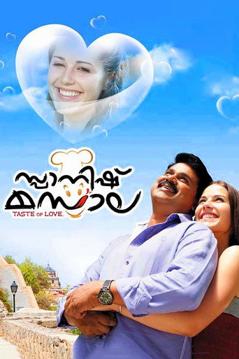 Spanish Masala (2012) poster