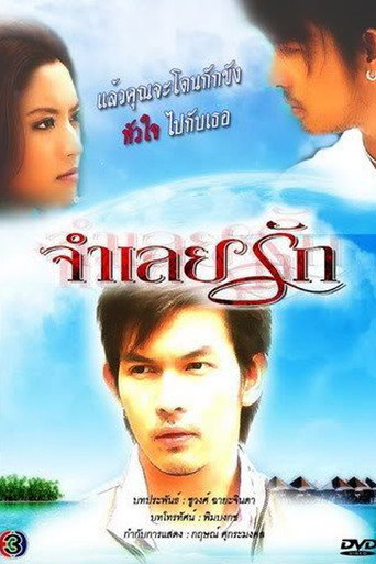 Defendant of Love (2008) poster