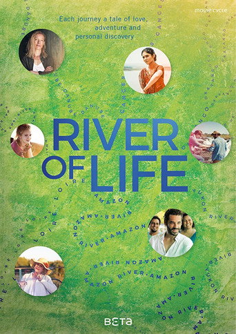 Fluss des Lebens (2013) poster