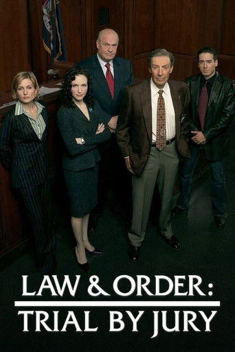 Law & Order: Trial by Jury (2005) poster