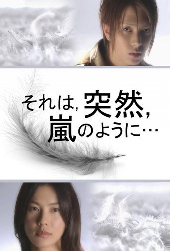 It was sudden, like a storm... (2004) poster