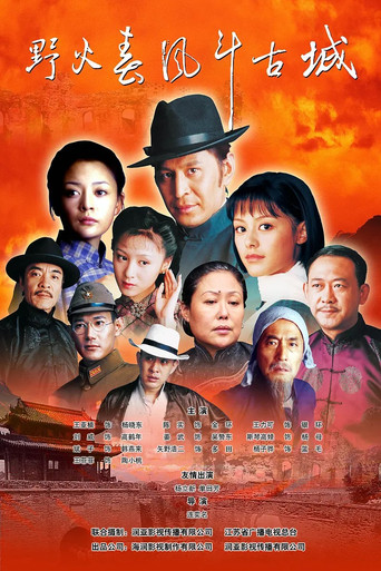 野火春风斗古城 (2005) poster