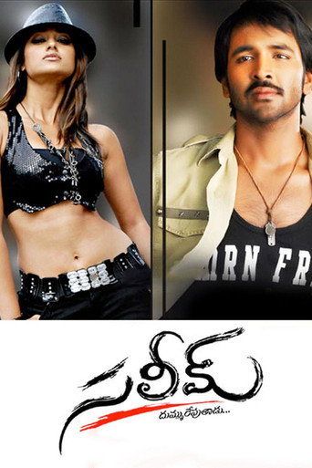 Saleem (2009) poster
