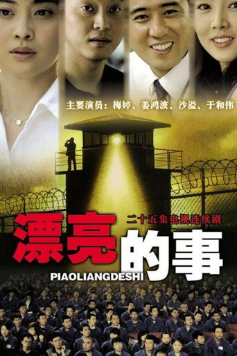 漂亮的事 (2008) poster