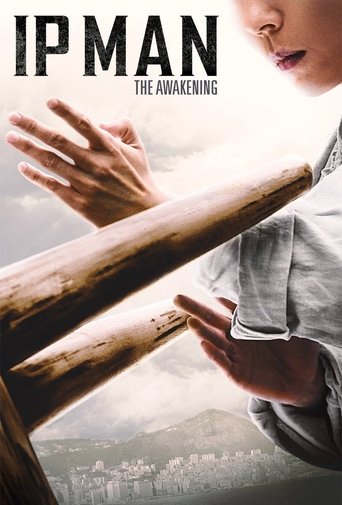 Ip Man: The Awakening (2021) poster
