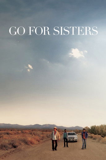 Go for Sisters (2013) poster