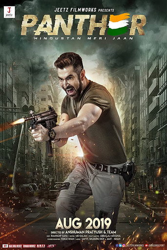 Panther (2019) poster