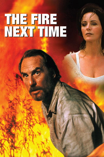 The Fire Next Time (1993) poster