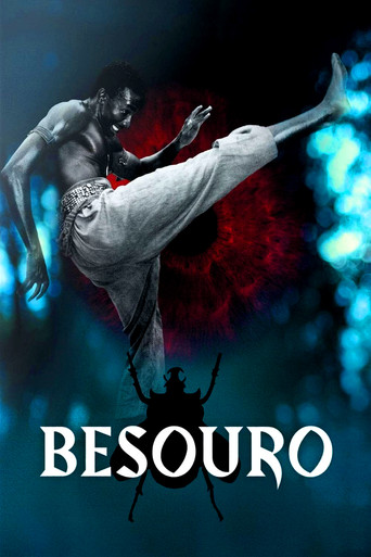 The Assailant (2009) poster