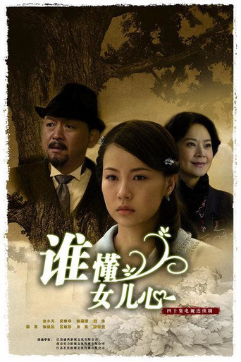 谁懂女儿心 (2009) poster